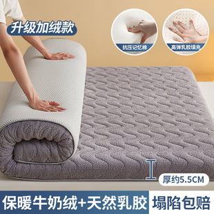 Latex Mattress Upholstery Bedroom Sponge Mat for Home Student Dormitory Single Bed Mattress Special Tatami for Rental Housing