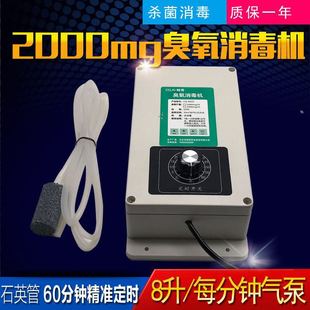 2000mg ozone generator (220V 8 liters) plus timer vegetable washing disinfection machine fruit and vegetable disinfection machine fish tank
