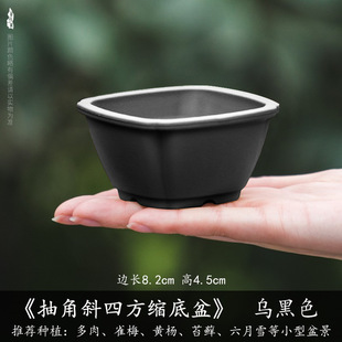 Fleshy Flower Pot Palm Treasure Plant Small Bonsai Cute Simple Thickened and Durable Internet Celebrous Imitation Purple Sand Resin Flower Pot