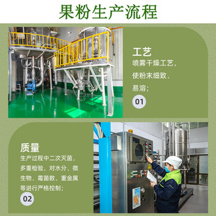 Coconut Powder 99% Source Factory Food Grade Raw Material Water Soluble Coconut Powder Coconut Fruit Meat Powder Coconut Concentrated Powder