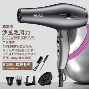 Official genuine goods Hair Dryer Hair Salon Special High Power Negative Ion Hair Care Household High Wind Speed Dry Cold Hot Air