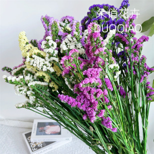 Forget-me-not Forever Flowers Forget-me-not Dried Flowers Wholesale Natural Dried Flowers Factory Direct Fresh Flowers for Homestay