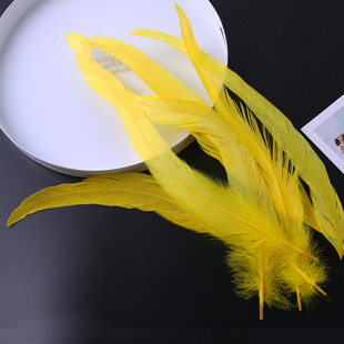DIY accessories 20-30cm color cock feather cock off white tail stage props Jewelry Crafts decoration