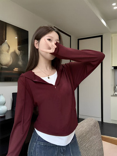 Autumn 2024 New Long-sleeved Casual Retro Chic Fake Two-piece Hooded Sweaters Top for Women