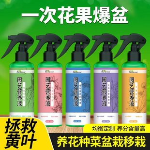 Chlorophyll Plant Horticultural Leaf Care Agent Universal Nutrient Solution Green Leaf Growth Promotion No Dilution Flower Fertilizer