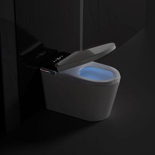 Household Smart Toilet Remote Control Automatic Flip Flush Toilet Electric Integrated Toilet