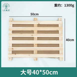 Specimen Clip Wooden Plastic Large, Medium and Small Size Plant Specimen Clip Full Set with Absorbent Paper Wax Leaf Specimen Clip