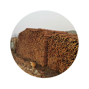 Cunninghamia lanceolata pile river piling wood square wood log flood control wood pile boutique purlin landscaping support rod