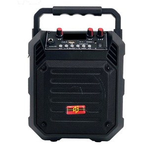 Future Miracle A5 Portable Audio Outdoor Mobile Speaker with Wireless Microphone Portable Square Dance Backpack Speaker