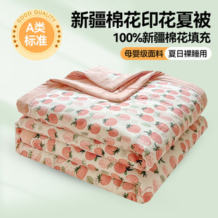 Class A Xinjiang pure cotton summer quilt summer soft waxy super soft small fresh single double summer quilt air conditioning quilt core wholesale