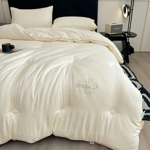 Class a mother and infant grade raw cotton soybean fiber quilt two-in-one thickened winter quilt spring and autumn bedding cotton quilt core