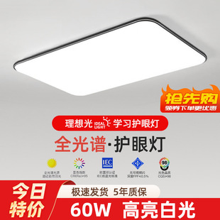 2025 new led ceiling lamp room bedroom lamp living room lamp hall modern simple atmosphere Zhongshan lamps