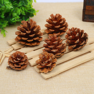 Pinus tabulaeformis Photo Props Kindergarten Handmade Materials Christmas Pine Cone Dried Flower Decorations Hanging Ornaments Natural Decorations