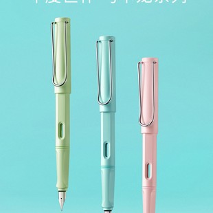 Yongsheng Zhengzi Pen Primary School Beginners EF/F Pointed Calligraphy Pen Set Replaceable Ink Bag Ink Absorption