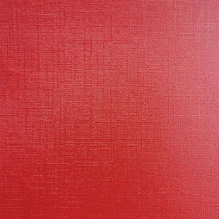 Red Special Paper Collection-250/120G New Year Paper Chinese Red Cardboard Art Paper Texture Paper Wedding Invitation