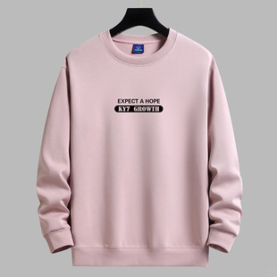 Men's Sweater Spring and Autumn Youth New Round Neck Long Sleeve Jacket Loose Base T-Shirt Top Trendy Men's Clothing