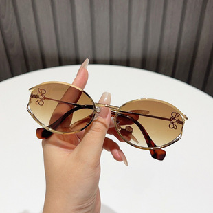 2025 New Fashion Sunshade Mirror European and American High-End Sunglasses Street Photography Trend Anti-Uv Oval Frame Sunglasses
