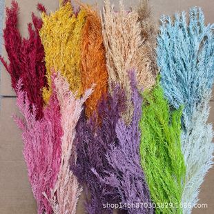 Melasagna Jin Yongsheng Flower Bleaching Decoration Nordic ins Style Homestay Cafe Home Flower arrangement Christmas Tree Flower Material