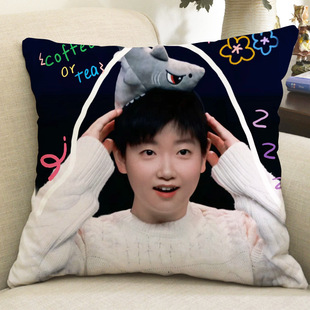 Wang Chuqin Sun Yingsha Peripheral Pillow with Sha Head Double-sided Pattern Removable and Washable Car Dormitory Bedroom Cushion