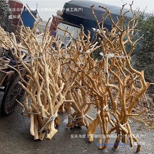 Log Branches, Dried Branches, Lamp Stands, DIY Material Ornaments, Decorative Dead Wood Branches, Tree Trunks, Landscaping Art, Dried Flowers
