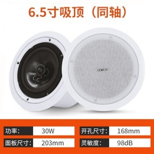 Xianke S1-5 ceiling radio ceiling wall hanging speaker coaxial hanging ball waterproof outdoor sound column ceiling speaker embedded