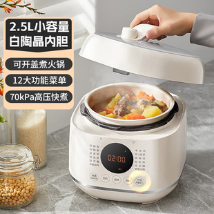 Electric Pressure Cooker Household 2-3 Small Mini Multifunctional Automatic Pressure Cooker Rice Cooker SY-25FC8027