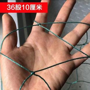 Greenhouse Nylon Wire Anti-bird Net Chicken Nylon Net Fish Pond Orchard Anti-bird Net Fruit Tree Anti-bird Net