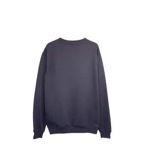 Correct Edition 2024 high quality Real Shot Blade Micro Embroidered Letter Loose Round Neck fleece-lined Sweat