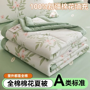 All Cotton Cotton Summer Quilt Air-conditioning Quilt Pure Cotton Machine Washable Summer Quilt Summer Quilt Core Thin Quilt