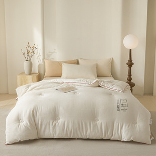 Cotton Class A Washed Cotton Jacquard 100% Cotton Quilt Core Summer Quilt Winter Quilt Four Seasons Wholesale by E-commerce