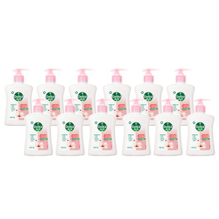 Dettol Moisturizing Hand Sanitizer Pine Plant Care 250g Natural Freshness Wholesale Dropshipping
