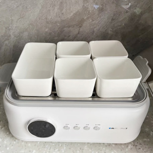 Special Dim Sum Steamed Bowl Household Snacks Snack Plate Ceramic Rectangular Steamed Egg Bowl Oven Electric Steamer