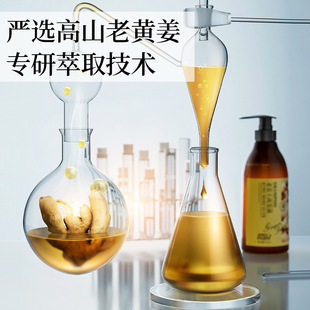 Ginger King Ginger Shampoo Сильные волосы Освежающий контроль масла Мягкий Шампунь против перхоти Оптовая Продажа с фабрики для волос