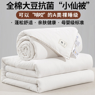 Cotton Satin Jacquard Zipper Two-In-One Soy Fiber Mother-In-Law Quilt Warm Quilt Spring & Fall Quilt Twin Quilt Core