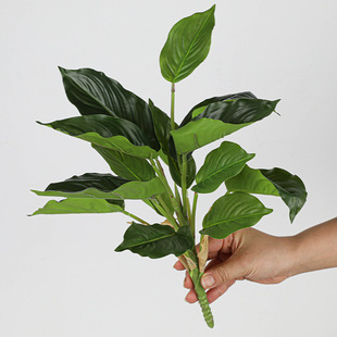 Simulation Green Plant 14-leaf Evergreen Color Leaf Taro Mori Leaf Material Wedding Decoration Green Plant Simulation Taro Leaf Home
