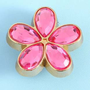 New Year of the Snake Hole Shoes Decorative Buckle Accessories Metal Shoes Flower Jewel Shoe Buckle Garden Shoes Upper Hardware Acrylic Accessories