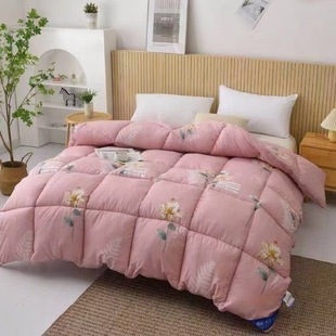 Wholesale feather silk cotton spring and autumn quilt thickened winter quilt single double quilt core will sell group purchase gift quilt super soft