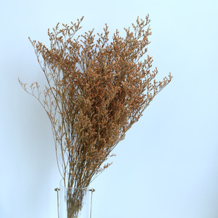 Bleached Lover's Grass Color Eternal Flower DIY Flower arrangement Flower material bouquet with flowers Home decoration Living room ornaments