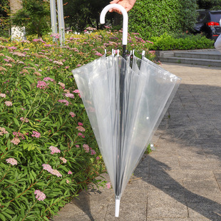 New Style Simple Transparent Long-handle Umbrella Semi-automatic Umbrella Ins Style Internet Celebrity White Transparent Photo Umbrella for Men and Women