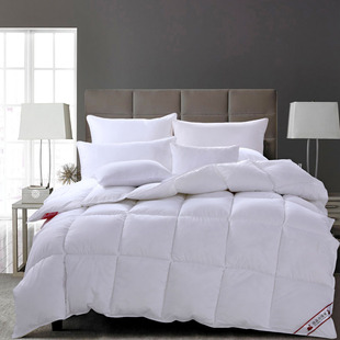 Cross-Border Hotel solid color sanding space quilt thickened feather velvet winter quilt double chemical fiber quilt core wholesale