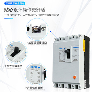 Zhengtai three-phase four-wire leakage protector DZ20L-250/3N300 Molded Case Circuit breaker transparent switch