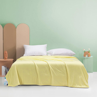 (Total) Yige Lai 2024 New Type a Cool Ice Cream Summer Quilt Quilt Core