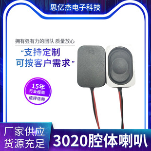 3020 Cavity Speaker High Power Car Audio Smart Wearable Ai Toy Robot Alarm Speaker Manufacturer