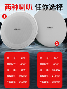 Schenko Ceiling Audio Ceiling Household Embedded Speaker Home Theater Living Room Indoor Speaker Set
