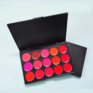 15-color lipstick plate lip color plate combination non-decolorization photo studio makeup makeup artist dedicated portable children stage performance