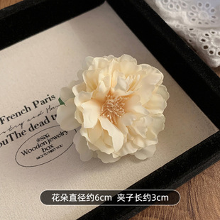 Pure Desire Wind Phalaenopsis Hairpin Super Fairy Simulation Lily Flower Seaside Vacation Photo Headwear Advanced Hair Accessories New