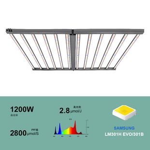1200W High Power Plant Lamp North America Hot Sale Indoor Plant Growth Lamp 2 Way Dimming UV Light
