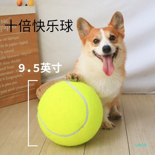 Pet Dog Игрушечный мяч один, чтобы снять душный артефакт