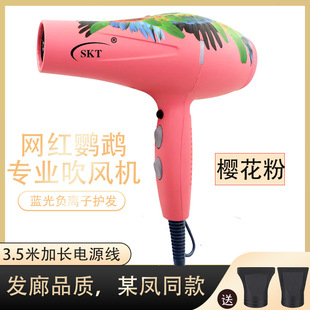SKT Parrot Same Hair Dryer Hair Salon Special Internet Celebrator High Power Mute Barber Shop Hair Stylist Home