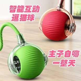 Новый стиль Smart Cat Ball Cat Ball игрушки